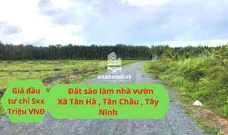 bán đất sào ở Xã Tân Hà Tân Châu Tây Ninh diện tích 1000m2