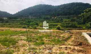 Chào bán mảnh đất 1700m2 tại trại phong xã minh phú huyện sóc sơn🏡🏡🏡