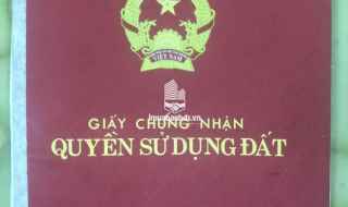 CHÍNH CHỦ CẦN BÁN, CƠ HỘI CHO CÁC NHÀ ĐẦU TƯ