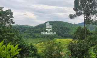 7000m.1200 thổ cư - homestay nghỉ dưỡng đầu tư