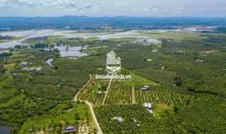 Đất vườn Hồ Trị An, nơi an cư điền viên, giá chỉ 1tr/m2