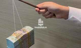CHUYÊN MÔI GIỚI NHÀ ĐẤT QUẬN 8, KÝ GỬI NHÀ ĐẤT QUẬN 8 PHƯỜNG 14 CÂY SUNG