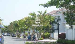 Cần bán Villas Sân vườn có Hồ bơi Làng Châu Âu Euro Village Quận Sơn Trà Đà Nẵng