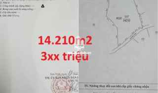 Hơn 28 sào (14.210 m2 ) đất Rừng Sản Xuất (RSX), Tịnh Đông, Sơn Tịnh, Quảng Ngãi giá chỉ 390 triệu