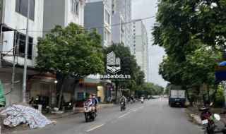 Bán đất có nhà cấp 4 mặt phố Hoàng Công Mậu Lương Hà Đông, hè rộng kinh doanh, đường ô tô tránh 11