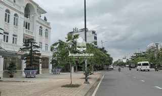 Bán nhà mặt tiền Tô Hiệu, Tân Phú, dt 4.3m x 24m, 103m2, đường rộng 30m, giá 24 tỷ
