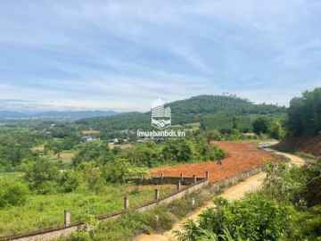 Bán 1393m2 đất ở xã Ba Vì giáp Dy lưng tựa núi Ba Vì view Sông Đà giá 1.5ty