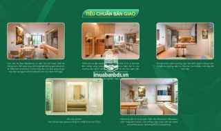 Chính chủ cần bán gấp căn 2PN The Vista Residence Đà Nẵng,View Sông Hàn-Trung tâm TP, giá chỉ 4,1tỷ