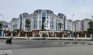 BÁN TÒA NHÀ BUILDING LÔ GÓC 8 Tầng 186m2, MT15 DUY TÂN-TRẦN THÁI TÔNG giá nhỉnh 135 tỷ