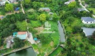 BÁN LÔ ĐẤT BÁM SUỐI – CƯ YÊN, LƯƠNG SƠN, HÒA BÌNH