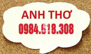 Biệt thự khủng Mỹ Đình rẻ giật mình 200m2 chỉ 55 tỷ LH 0984618308