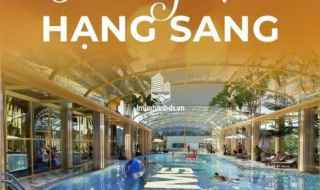 Booking ngay trong tháng 6 nhận CK lên đến 17% cùng cơ hội bốc thăm trúng vàng với QMS Top Tower Tố