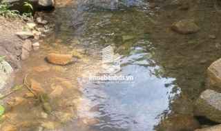 Đất Đẹp La Ngà – Sổ Riêng, View Chill, Đường Ô Tô – Chính Chủ Sang Nhượng