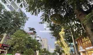 LẠC LONG QUÂN NGÕ THÔNG KINH DOANH DÂN XÂY 50/55M GIÁ 8 TỶ 699