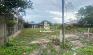 📍 Đất thổ cư mặt tiền đường nhựa 7m – Giá chỉ 480 triệu