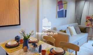 Căn hộ studio - tòa P8 dự án Sun Urban City Hà Nam (P80939)