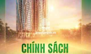 2 CĂN NGOẠI GIAO DUY NHẤT CHỈ 58TR/M2 DỰ ÁN THE FIBONAN