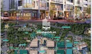 **🌟 MK CENTRAL CITY PHAN RANG – CHỈ CÒN 50 LÔ ĐỈNH CAO, KHƠI MỞ HÀNH TRÌNH VƯƠN TẦM! 🌟**  