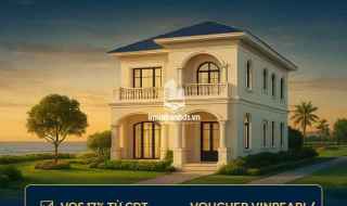 Sale Biệt thự đảo vua nơi nghỉ dưỡng và đầu tư hội tụ hoà mình với thiên nhiên