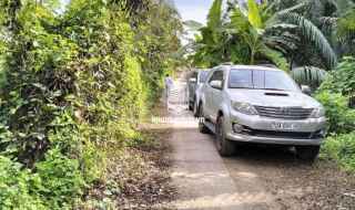 Bán đất vườn tại quận 9 TPHCM giá phải chăng