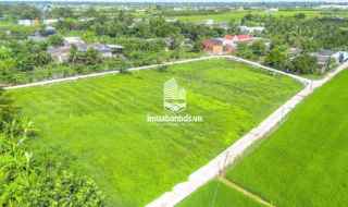 🌟 ĐẤT THỔ CƯ TÂN TRỤ-150m2 – XÂY DỰNG TỰ DO [💰299 TRIỆU] 🌟
