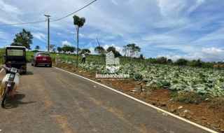 Đầu tư sinh lời cao với NaLi Chill - Homestay and BBQ – Vị trí vàng, pháp lý minh bạch