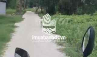 Bán lô đất trồng cây lâu năm (lên được thổ cư) Nhị Bình Hóc Môn