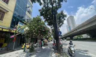 Bán 40m - 6 Tầng. ( Mặt Phố Khuất Duy Tiến ) Thanh Xuân