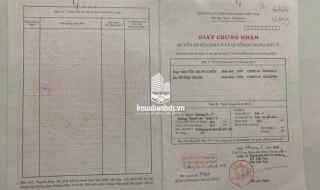 Hàng Hiếm TL40: nhà 1 lầu, 2 phòng ngủ, hẻm gần mặt tiền – sổ riêng – hỗ trợ vay