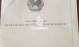 Cần bán gấp nhà đất số 199/1 Tô Ngọc Vân, TP Thủ Đức, DT 341.6m2