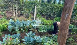 Bán đất nghỉ dưỡng 2400m2 cách BMT chỉ 7km