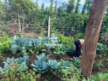 Bán đất nghỉ dưỡng 2400m2 cách BMT chỉ 7km