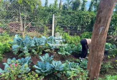 Bán đất nghỉ dưỡng 2400m2 cách BMT chỉ 7km Bán đất nghỉ dưỡng 2400m2 cách BMT chỉ 7km