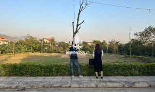 🏡 ĐẤT TRUNG TÂM ĐÔNG TRIỀU – GIÁ HƠN 1 TỶ/LÔ