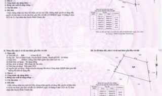 Bán Nhà Vườn 12.000m2, Giá 31 Tỷ, Kênh 12, Xã Lê Minh Xuân Bình Chánh TPHCM