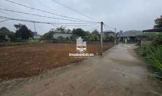 Đất Trung Tâm Ba Hàng Đồi – Sổ Sẵn 100% Thổ Cư – Chỉ Hơn 300 Triệu, Cơ Hội Đầu Tư Hiếm!