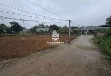 Đất Trung Tâm Ba Hàng Đồi – Sổ Sẵn 100% Thổ Cư – Chỉ Hơn 300 Triệu, Cơ Hội Đầu Tư Hiếm! Đất Trung Tâm Ba Hàng Đồi – Sổ Sẵn 100% Thổ Cư – Chỉ Hơn 300 Triệu, Cơ Hội Đầu Tư Hiếm!