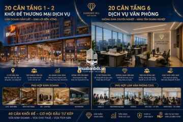 Diamond Hill tung ra 20căn khối đế duy nhất + 20 căn dịchvụ tầng 6 tầng tiện ích