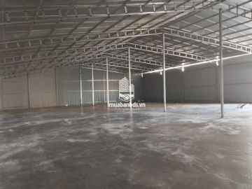 Cho thuê kho xưởng 225m2 580m2 khu vực ngõ 300 Nguyễn Xiển Thanh Xuân HN lh 0819980000
