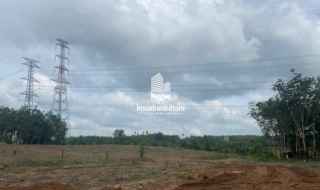 CHO THUÊ GẤP – ĐẤT ĐẸP GIÁ SIÊU TỐT – 45.000m² TẠI AN LONG