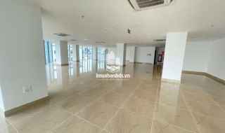 Mặt bằng lớn, vị trí đắc địa mở trung tâm giáo dục tại Cầu Giấy