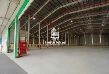 Cho thuê kho giá rẻ miễn phí 15 ngày thuê kho đầu tiên