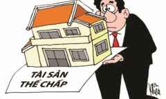 UBND TP.HCM công bố danh sách 77 dự án đang thế chấp tại các ngân hàng