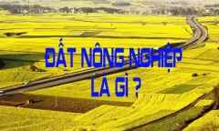 Đất nông nghiệp là gì? Có được phép xây nhà, cấp sổ và buôn bán đất nông nghiệp không?