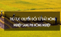 Đất phi nông nghiệp là gì? Thủ tục chuyển đổi từ đất nông nghiệp sang phi nông nghiệp?