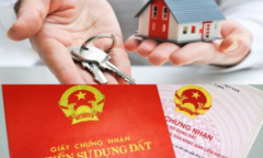 Hướng dẫn các thủ tục cần làm khi bị chậm cấp sổ đỏ