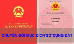 Những thông tin cần biết về thủ tục chuyển đổi mục đích sử dụng đất