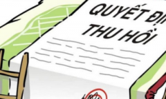 Quy trình bồi thường giải phóng mặt bằng bao gồm những bước nào?