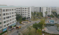 UBND TP Hà Nội đề xuất được chỉ định chủ đầu tư cho dự án khu nhà ở xã hội 5300 tỷ tại Đông Anh