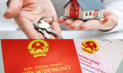 Lời khuyên không nên bỏ qua khi bị mất sổ đỏ